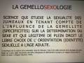 IMG_0920(1)